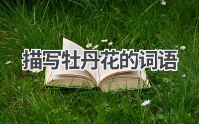 描写牡丹花的词语