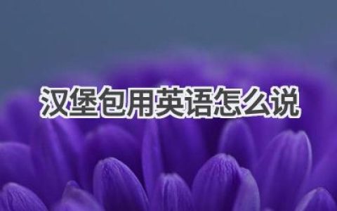 汉堡包用英语怎么说