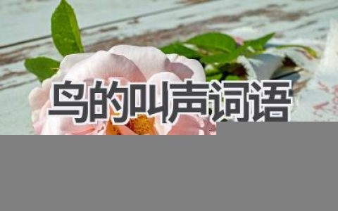 鸟的叫声词语