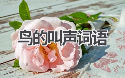 鸟的叫声词语