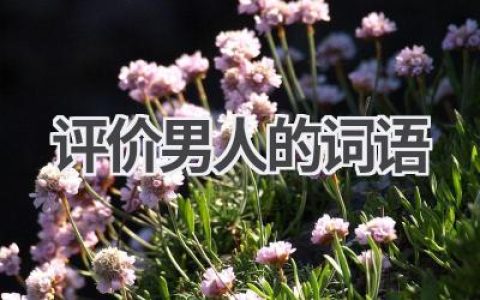 评价男人的词语