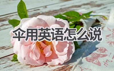 伞用英语怎么说