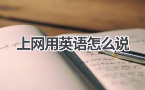 上网用英语怎么说