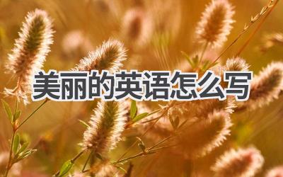 美丽的英语怎么写