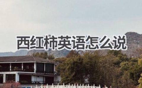 西红柿英语怎么说