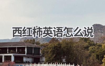 西红柿英语怎么说