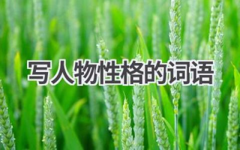 写人物性格的词语