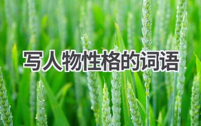 写人物性格的词语