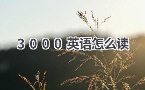 3000英语怎么读