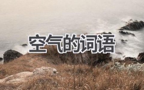 空气的词语