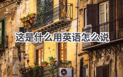 这是什么用英语怎么说