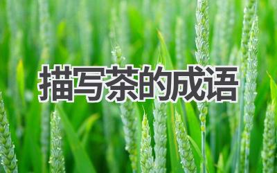 描写茶的成语