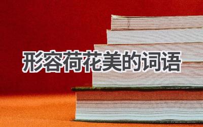 形容荷花美的词语