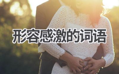 形容感激的词语