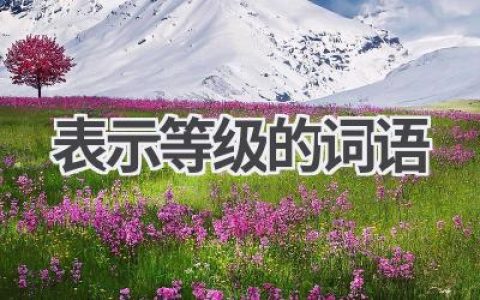 表示等级的词语