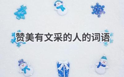 赞美有文采的人的词语
