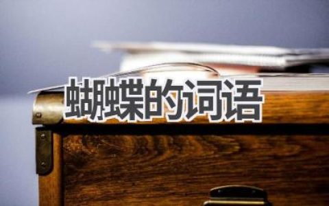 蝴蝶的词语