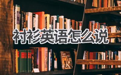 衬衫英语怎么说