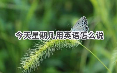 今天星期几用英语怎么说