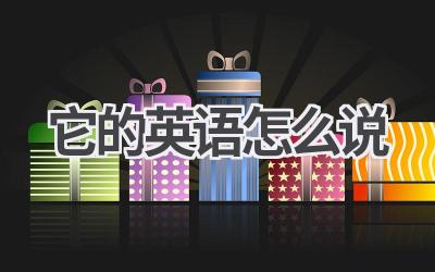 它的英语怎么说