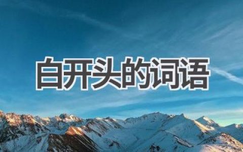 白开头的词语