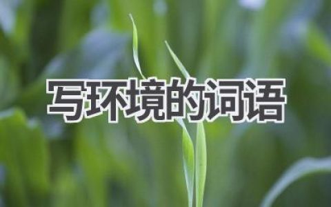 写环境的词语