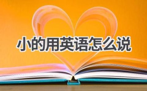 小的用英语怎么说