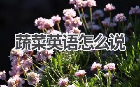 蔬菜英语怎么说