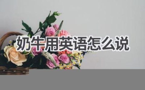 奶牛用英语怎么说