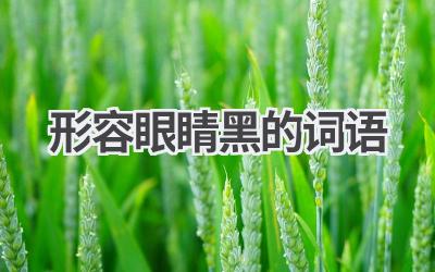 形容眼睛黑的词语