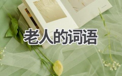 老人的词语