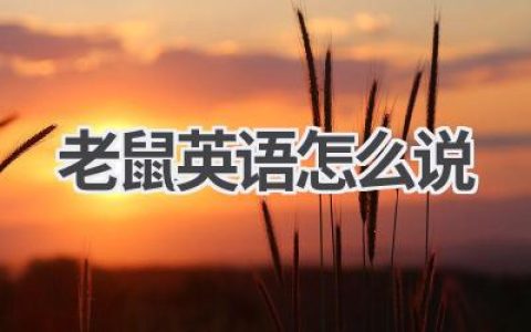 老鼠英语怎么说