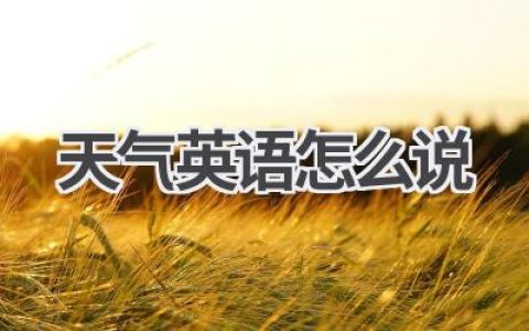 天气英语怎么说