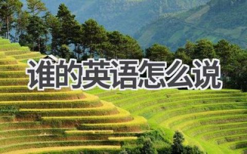 谁的英语怎么说