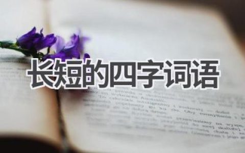 长短的四字词语