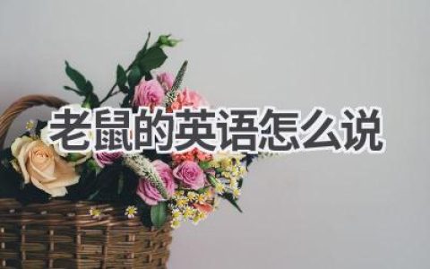 老鼠的英语怎么说