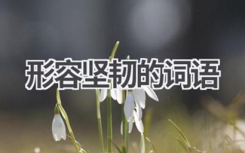 形容坚韧的词语