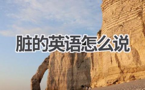 脏的英语怎么说