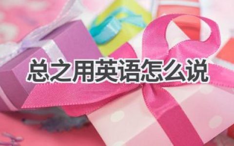 总之用英语怎么说