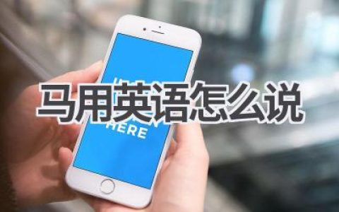 马用英语怎么说
