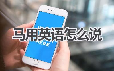 马用英语怎么说