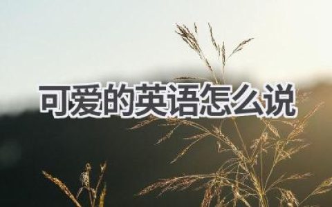 可爱的英语怎么说