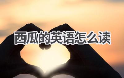 西瓜的英语怎么读