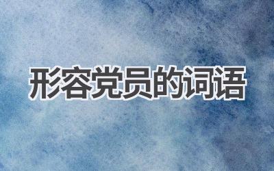 形容党员的词语