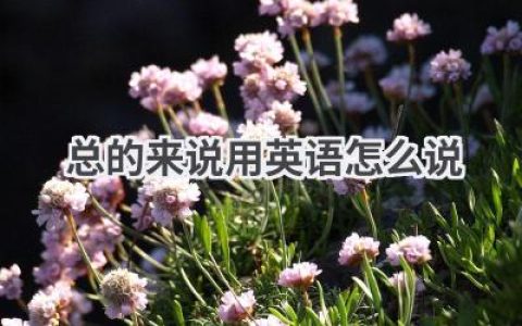 总的来说用英语怎么说