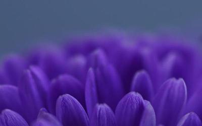 你在哪里用英语怎么说