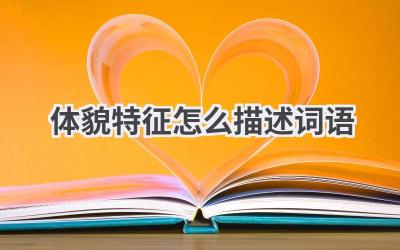 体貌特征怎么描述词语