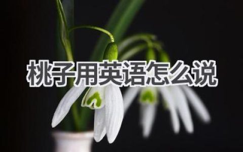 桃子用英语怎么说
