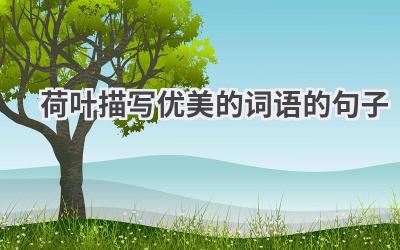 荷叶描写优美的词语的句子