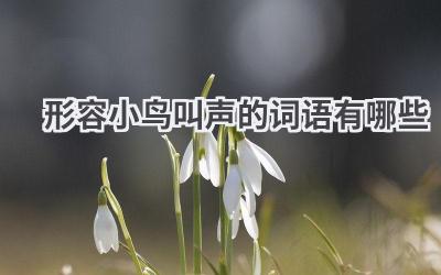 形容小鸟叫声的词语有哪些